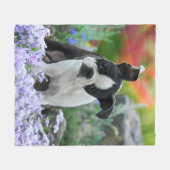 Boston Terrier Dog Welpe gemütlich Fleecedecke (Vorderseite (Horizontal))