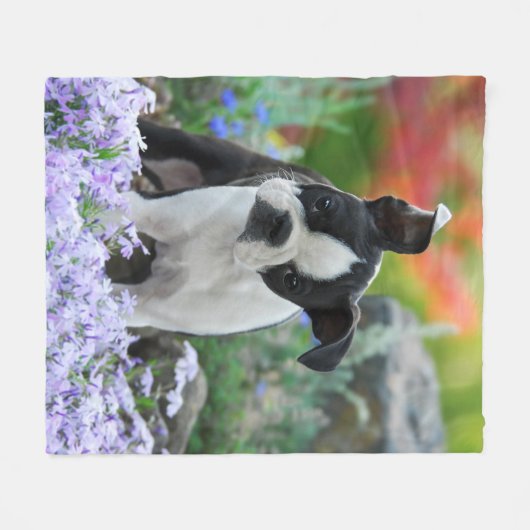 Boston Terrier Dog Welpe gemütlich Fleecedecke (Vorderseite (Horizontal))