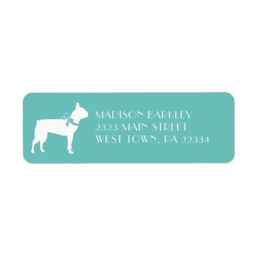 Boston Terrier Doppy Puppy (Vorne)