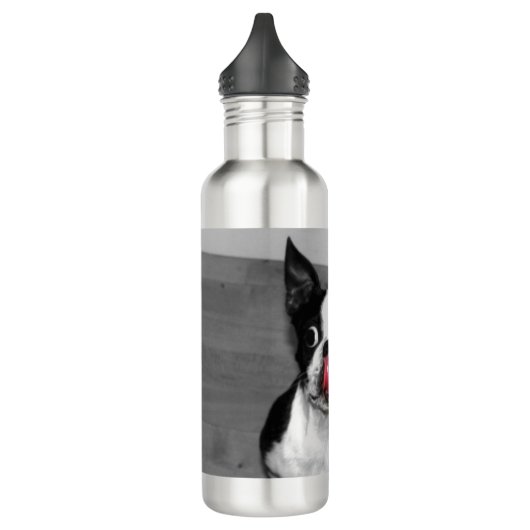 Boston Terrier Edelstahlflasche (Links)