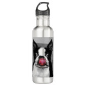 Boston Terrier Edelstahlflasche (Vorderseite)