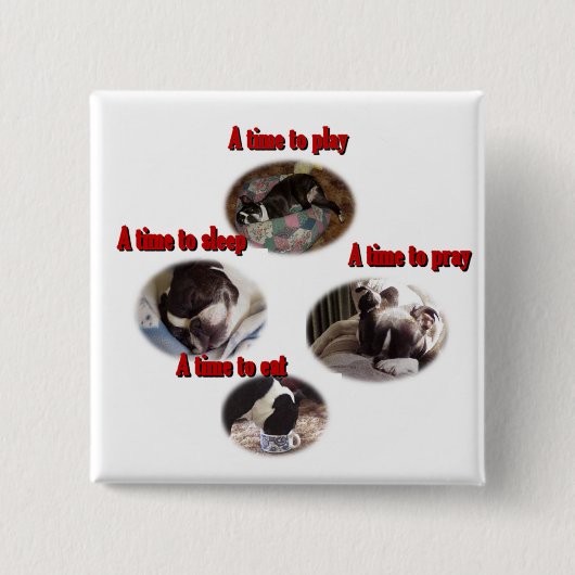Boston Terrier: Eine Zeit Button (Vorderseite)