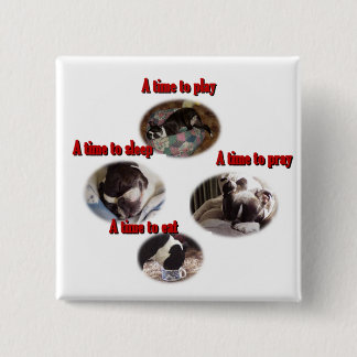 Boston Terrier: Eine Zeit Button