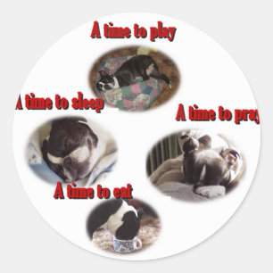 Boston Terrier: Eine Zeit Runder Aufkleber