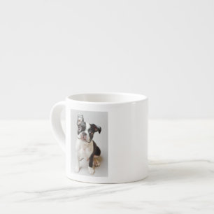 Boston Terrier Espressotasse