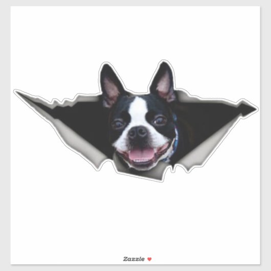 Boston Terrier Fensteraufkleber, Aufkleber (Blatt)