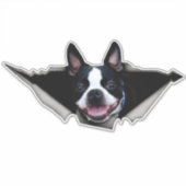 Boston Terrier Fensteraufkleber, Aufkleber (Vorderseite)