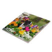 Boston-Terrier Fliese (Seite)