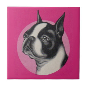 Boston Terrier Fliese
