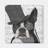 Boston Terrier, Formal Hound und Hat Magnet (Vorne)