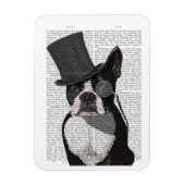 Boston Terrier, Formal Hound und Hat Magnet (Vertikal)
