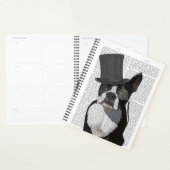 Boston Terrier, Formal Hound und Hat Planer (Anzeige)
