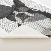 Boston Terrier, Formal Hound und Hat Sherpadecke (3/4)