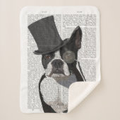 Boston Terrier, Formal Hound und Hat Sherpadecke (Vorderseite)