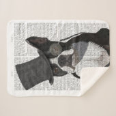 Boston Terrier, Formal Hound und Hat Sherpadecke (Vorderseite (Horizontal))