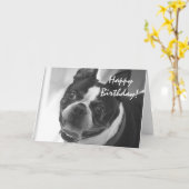 Boston Terrier Foto Karte (Gelbe Blume)