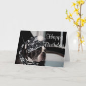 Boston Terrier Foto Karte (Gelbe Blume)