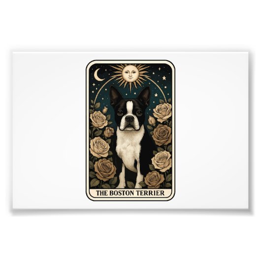 Boston Terrier Fotodruck (Vorne)