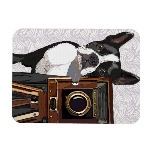 Boston Terrier Fotograf 2 Magnet (Horizontal)