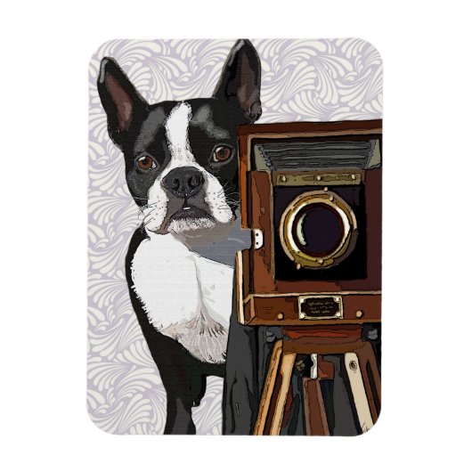 Boston Terrier Fotograf 2 Magnet (Vertikal)