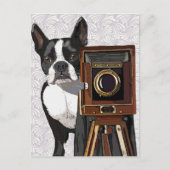 Boston Terrier Fotograf 2 Postkarte (Vorderseite)