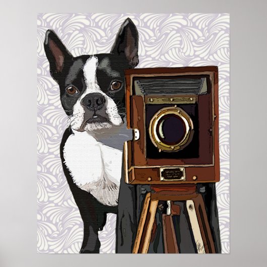 Boston Terrier Fotograf Poster (Vorne)