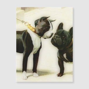 BOSTON TERRIER & FRANZÖSISCHER BULLDOG MAGNETKARTE