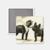 BOSTON TERRIER&FRENCH BULLDOG MAGNET (Vorderseite/Rückseite)
