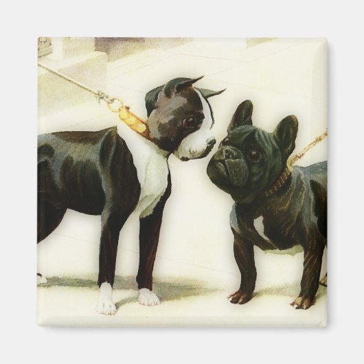 BOSTON TERRIER&FRENCH BULLDOG MAGNET (Vorne)