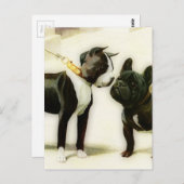 BOSTON TERRIER&FRENCH BULLDOG POSTKARTE (Vorne/Hinten)