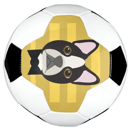 Boston Terrier Fußball (Gedreht)