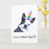 Boston-Terrier-Geburtstags-Party - Karte (Gelbe Blume)