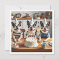 Boston Terrier Geburtstagskarte, Boston Terrier