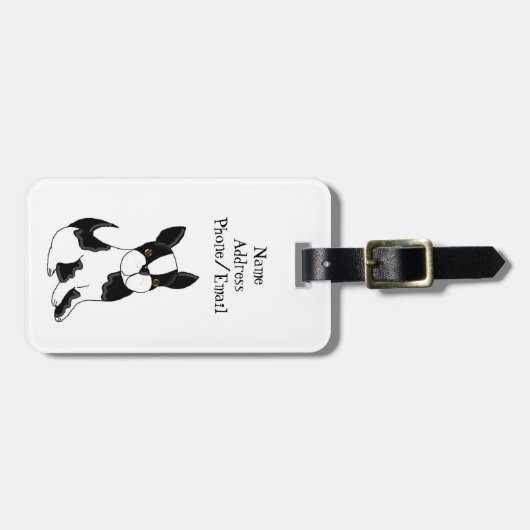 Boston Terrier Gepäckanhänger (Vorderseite horizontal)