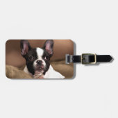Boston Terrier Gepäckanhänger (Vorderseite horizontal)
