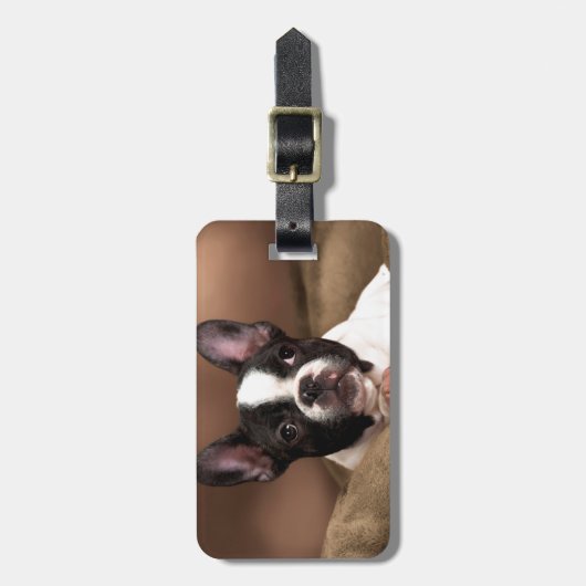 Boston Terrier Gepäckanhänger (Vorderseite vertikal)