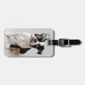 Boston Terrier Gepäckanhänger (Vorderseite horizontal)