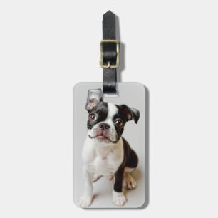 Boston Terrier Gepäckanhänger