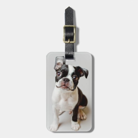 Boston Terrier Gepäckanhänger (Vorderseite vertikal)