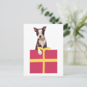 Boston Terrier Geschenkboxen Postkarte (Stehend Vorderseite)
