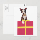 Boston Terrier Geschenkboxen Postkarte (Vorne/Hinten)