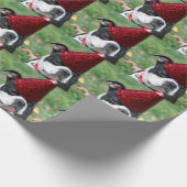 Boston-Terrier Geschenkpapier (Ecke)