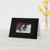 Boston Terrier Get Well Card Karte (Gelbe Blume)