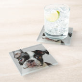 Boston Terrier Glasuntersetzer (Schrägansicht)