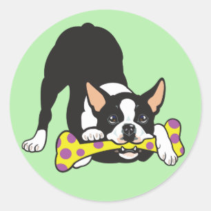 Boston Terrier. Glück glücklich gehen Runder Aufkleber