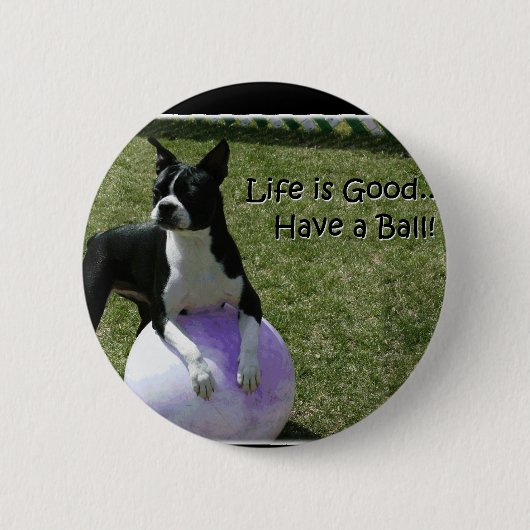 Boston Terrier:  Haben Sie einen Ball! Button (Vorderseite)