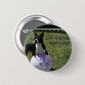Boston Terrier:  Haben Sie einen Ball! Button (Vorne & Hinten)