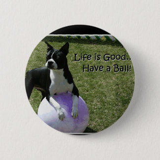 Boston Terrier: Haben Sie einen Ball! Button