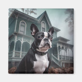 Boston Terrier Halloween Beängstigend Magnet (Vorne)