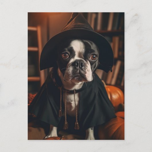 Boston Terrier Halloween Postkarte (Vorderseite)